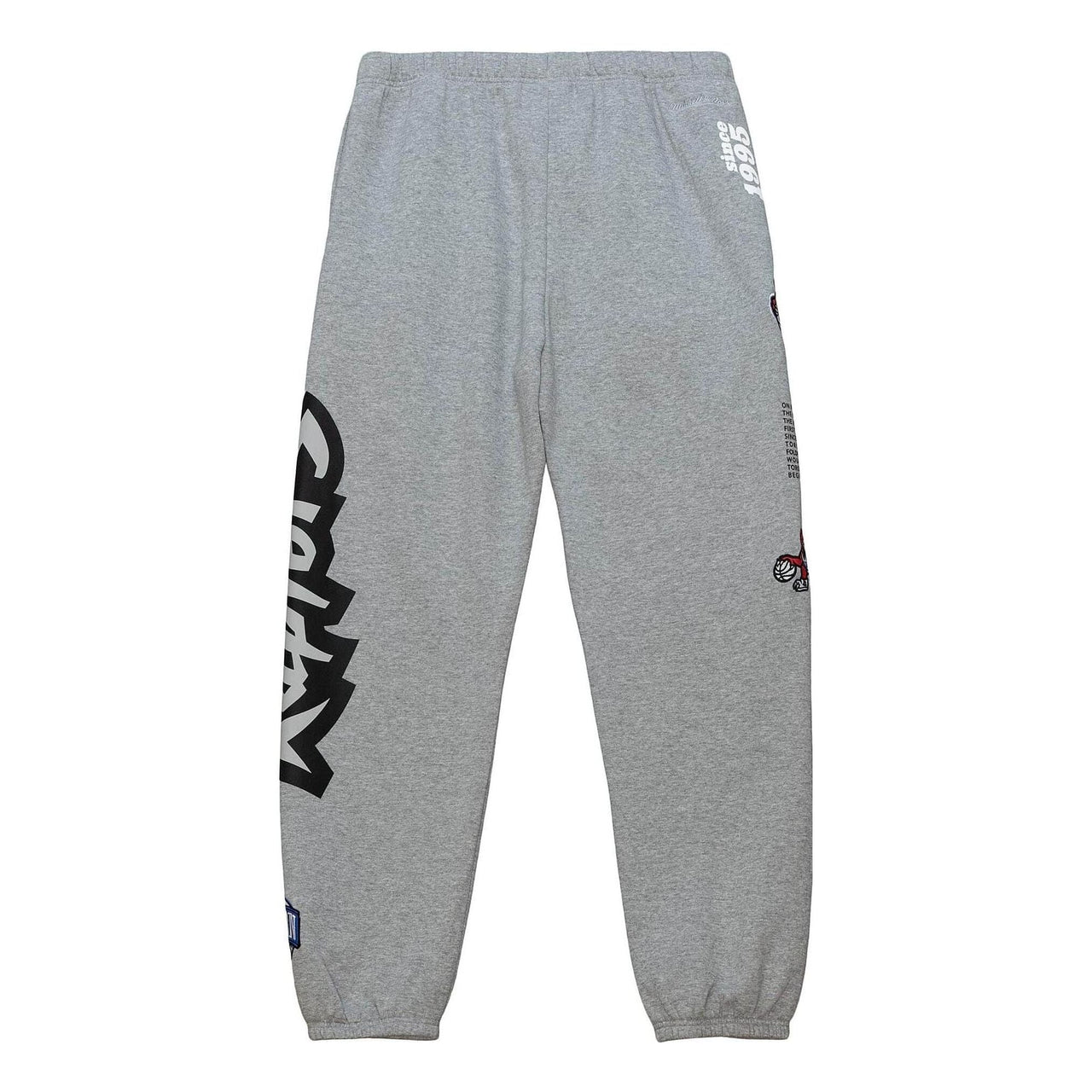 Mitchell & Ness x NBA Team Origins Fleece Pants 'Toronto Raptors' PSWP4850-TRAYYPPPGYHT