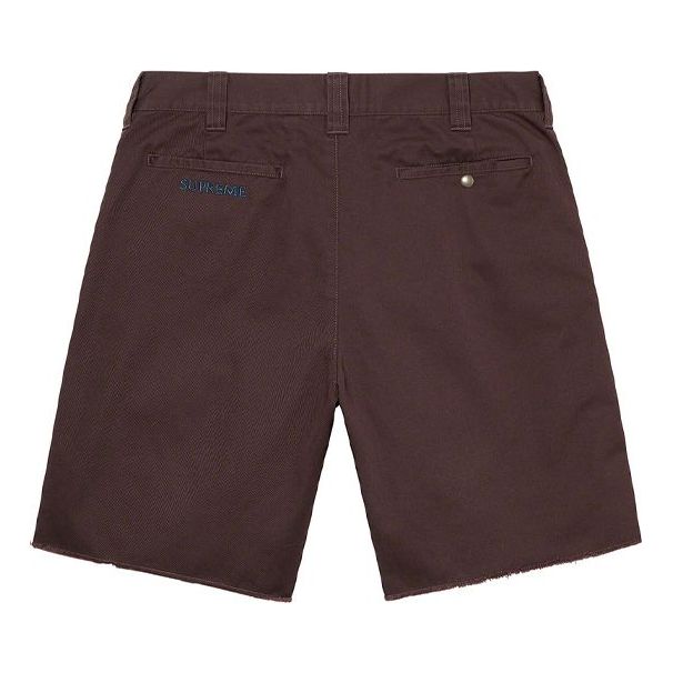 Supreme Aeon Flux Work Shorts 'Brown' SUP-SS22-193