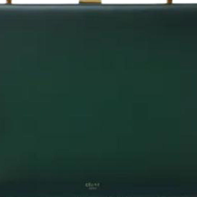 CELINE Clasp Calfskin Handbag Shoulder Bag Medium Size Women's Dark Green