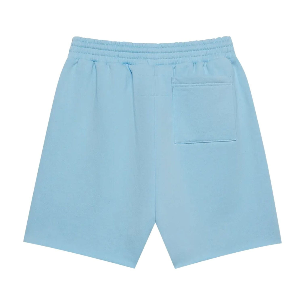 Sp5der OG Web Sweatshort 'Sky Blue' SH011SS26SKB