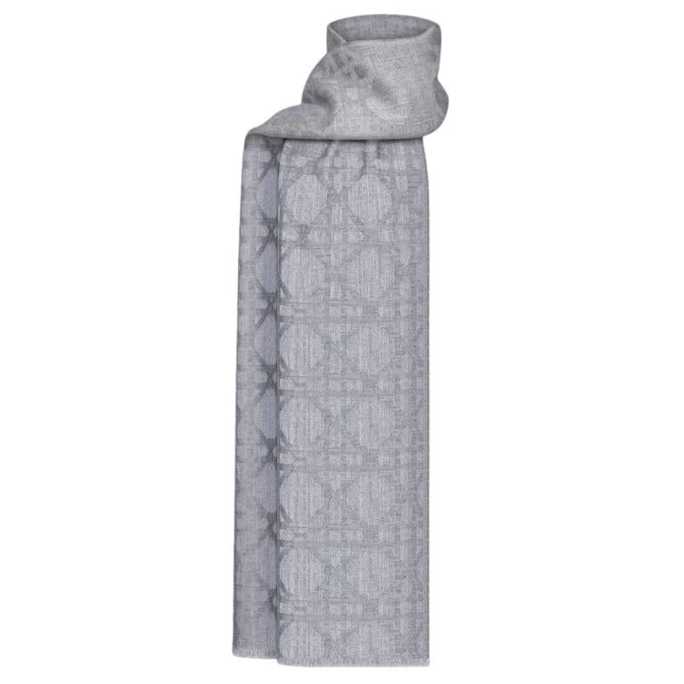 DIOR Cashmere Knit Scarves Men's Gray