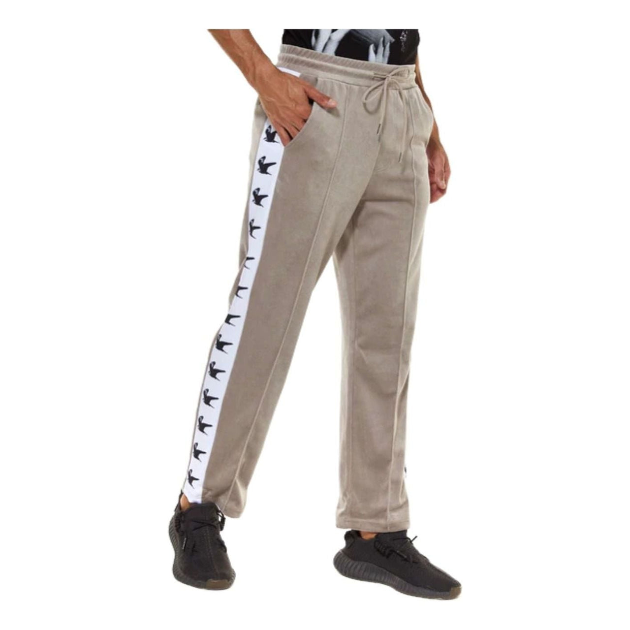House of Cenmar Falcon Print Pants 'Gray' HOC-BVP