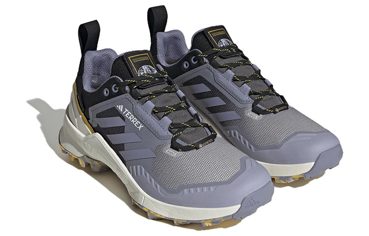 adidas National Geographic x Terrex Swift R3 GORE-TEX 'Silver Violet' HQ8826