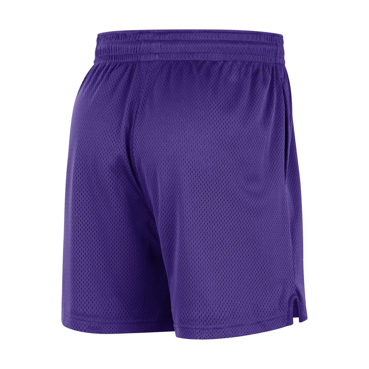 Nike NBA Sacramento Kings Mesh Shorts 'Purple' FB3750-504