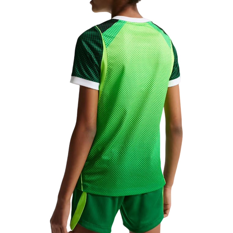 (GS) Nike Nigeria 2026 Stadium Home Dri-FIT Jersey 'Pine Green Electric Green White' IB5139-302