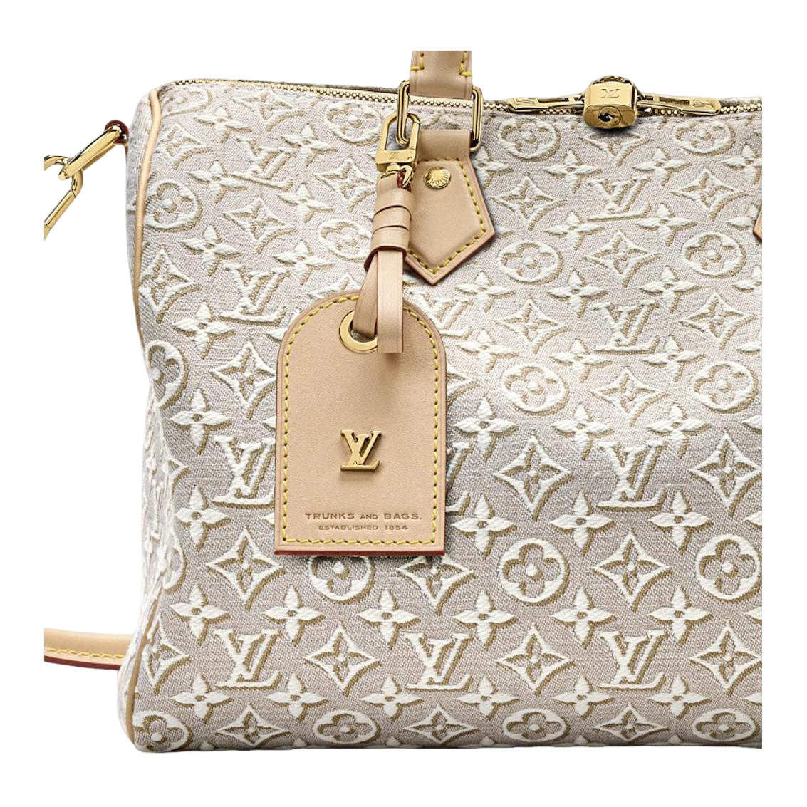 (WMNS) LOUIS VUITTON Speedy Soft 30 'Monogram Emblème Peuplier' M28479
