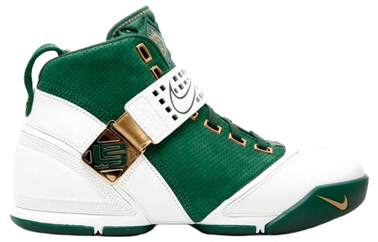 Nike Zoom LeBron 5 'Birthday' 317253-311