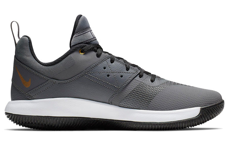 Nike Fly By Low 2 'Grey Gold' AJ5902-002
