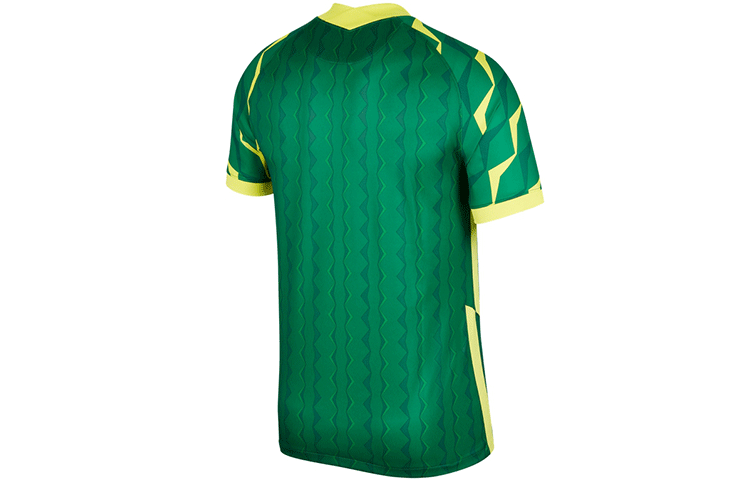 Nike Beijing Zhonghe Guoan home stadium Short Sleeve Football Jersey 'Green' CT6181-303