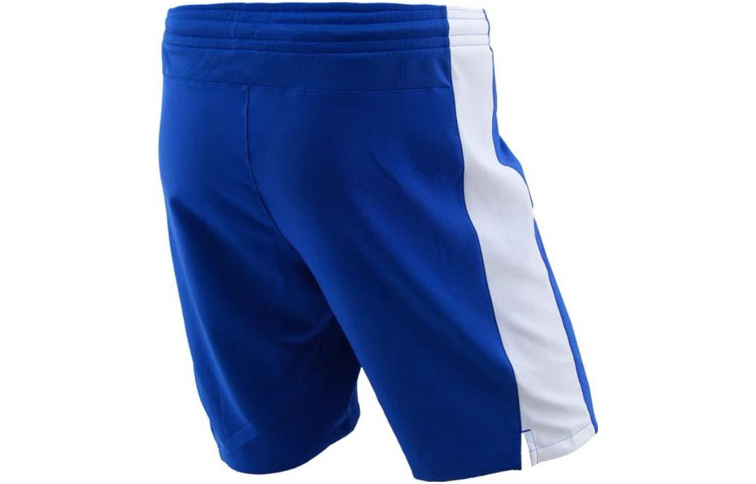 Nike Dri-FIIT Shorts 703209-463