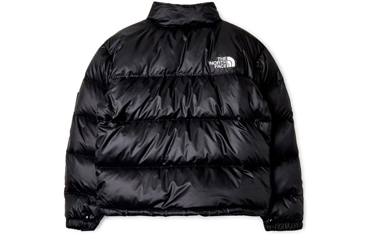 THE NORTH FACE X DSM Nuptse Jacket 'Black' NF0A52AYJK3