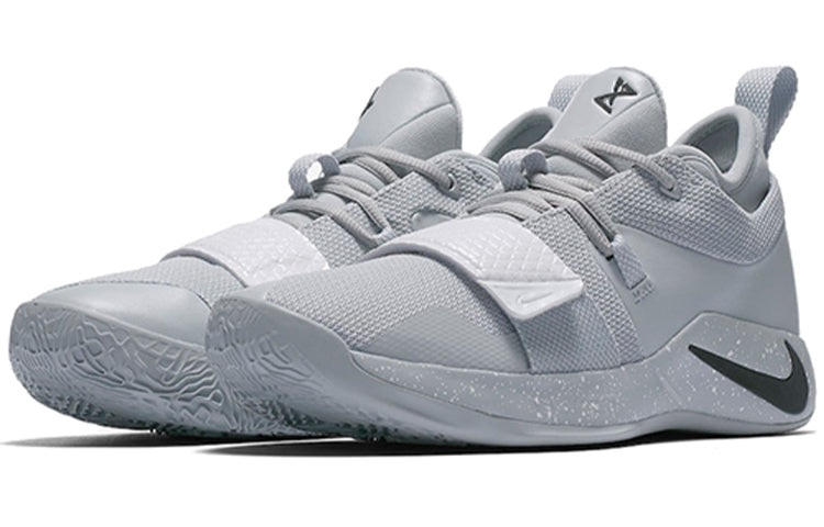 Nike PG 2.5 TB 'Wolf Grey' BQ8454-002