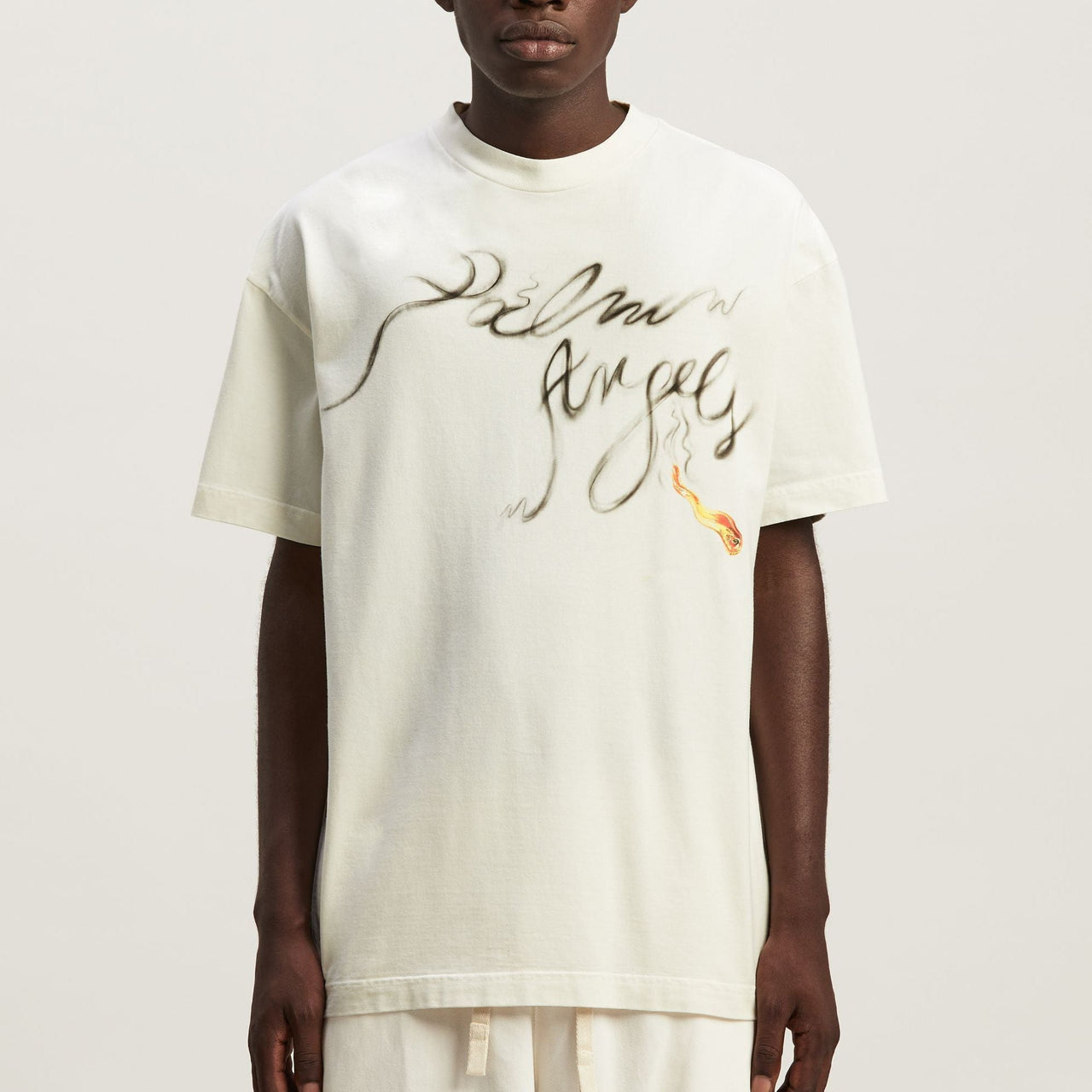 Palm Angels Foggy logo-print T-shirt 'White Black' PMAA072R24JER0020310