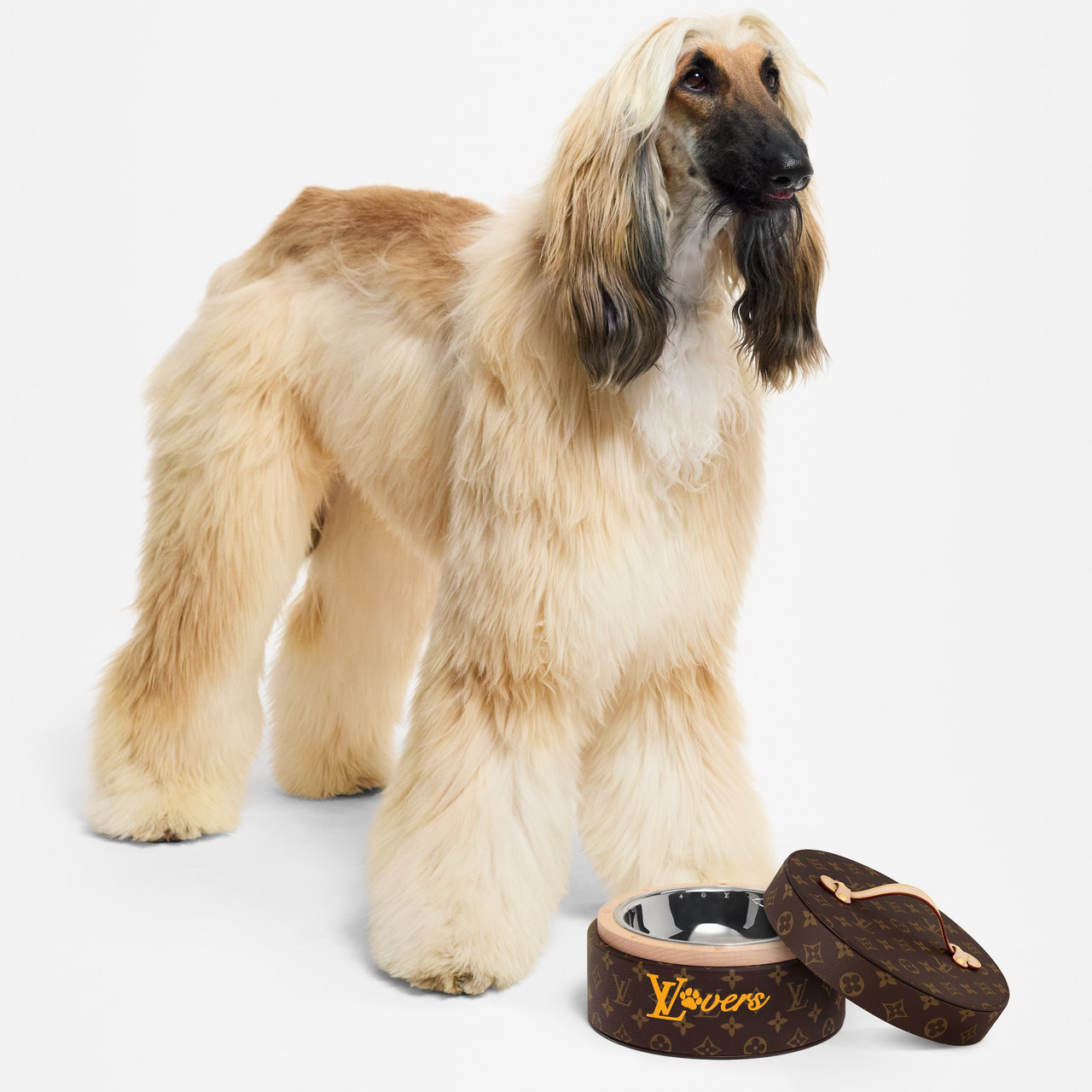 LOUIS VUITTON Cat And Dog Bowls & Slow Feeder Bowls