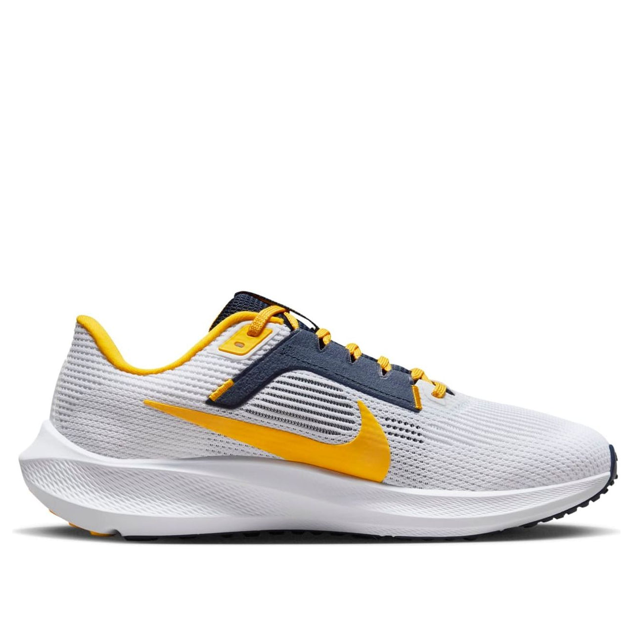 Nike Air Zoom Pegasus 40 'Michigan' DZ6001-100