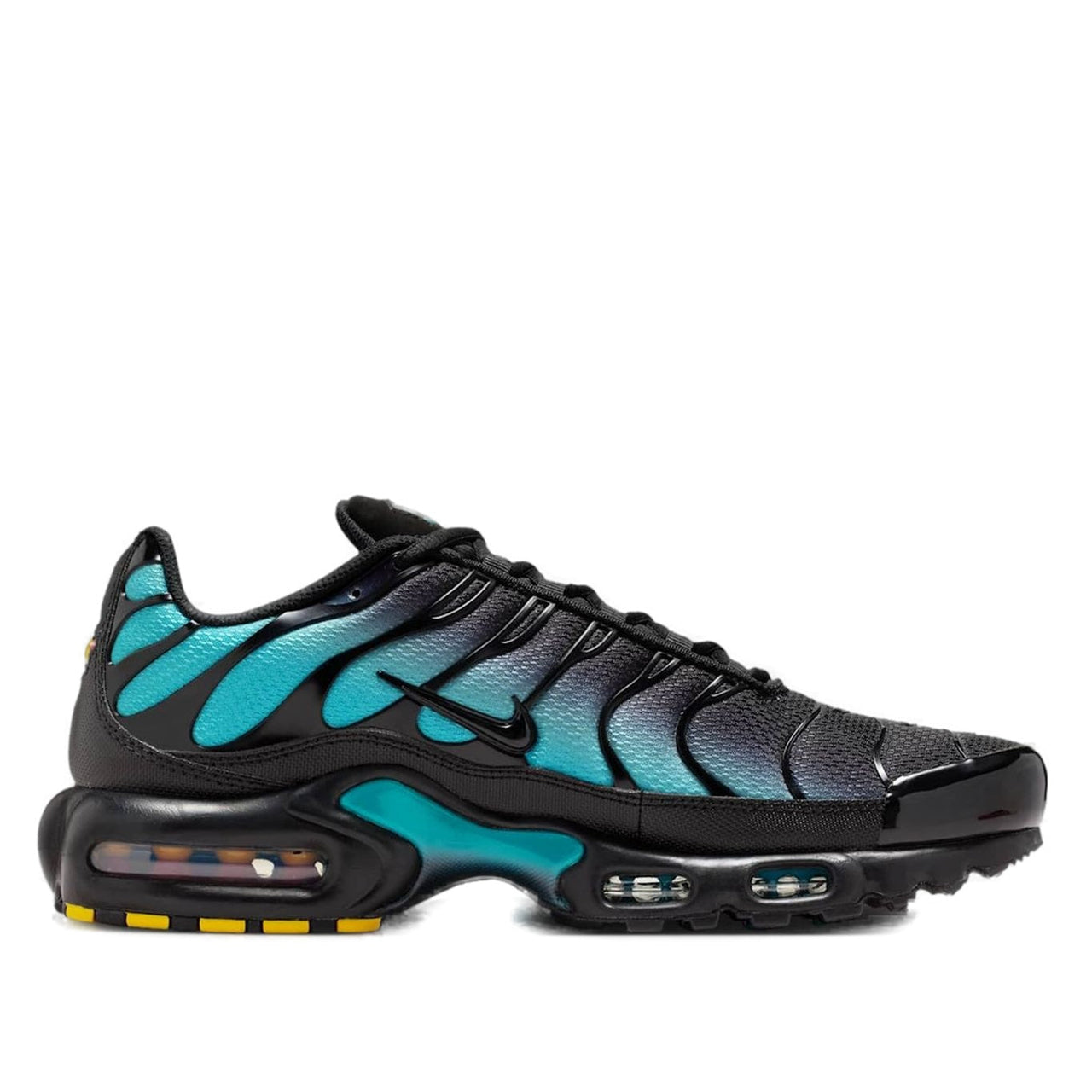 Nike Air Max Plus 'Black Dusty Cactus' DM0032-016