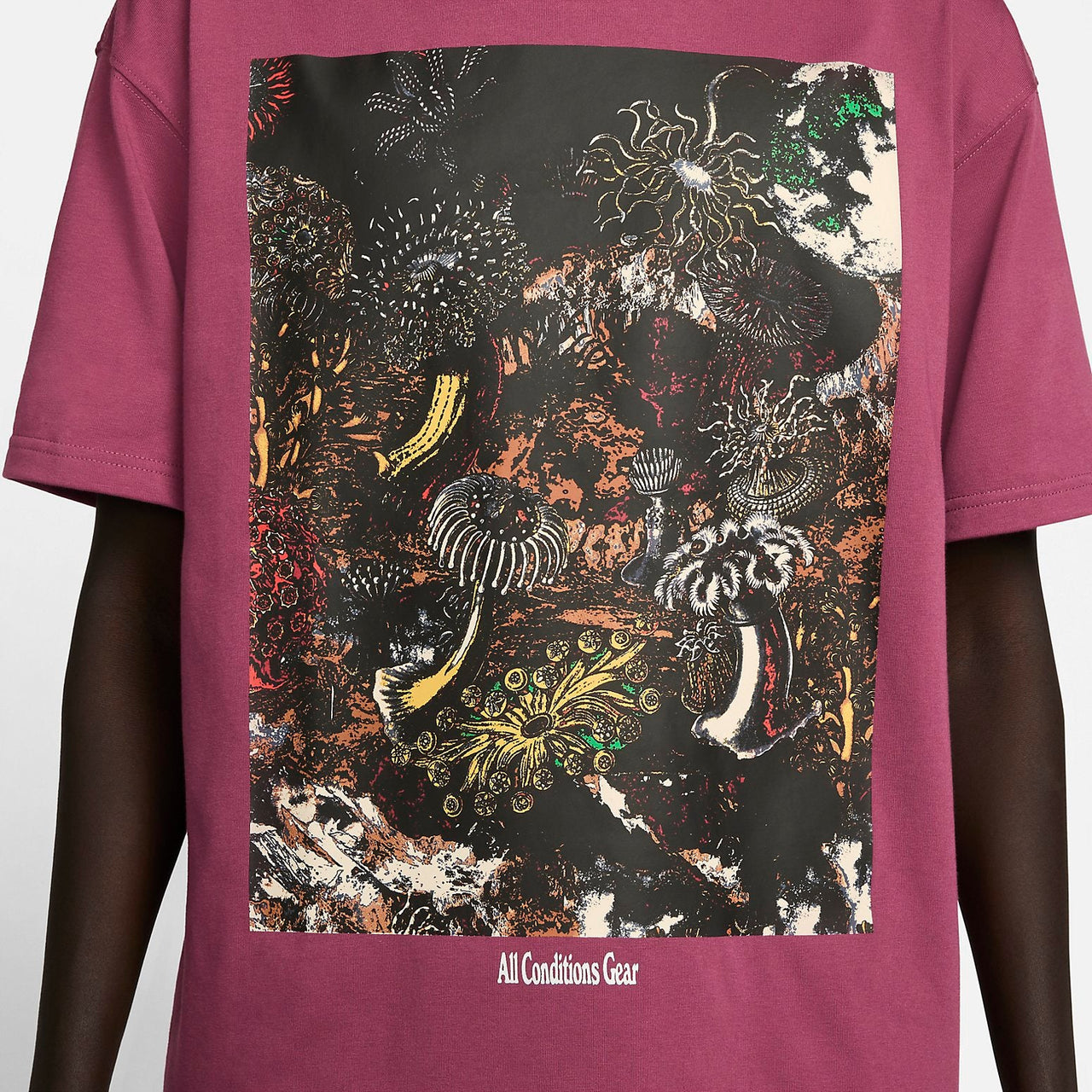 Nike ACG Tidal Pool T-Shirt 'Rosewood' DX9448-653
