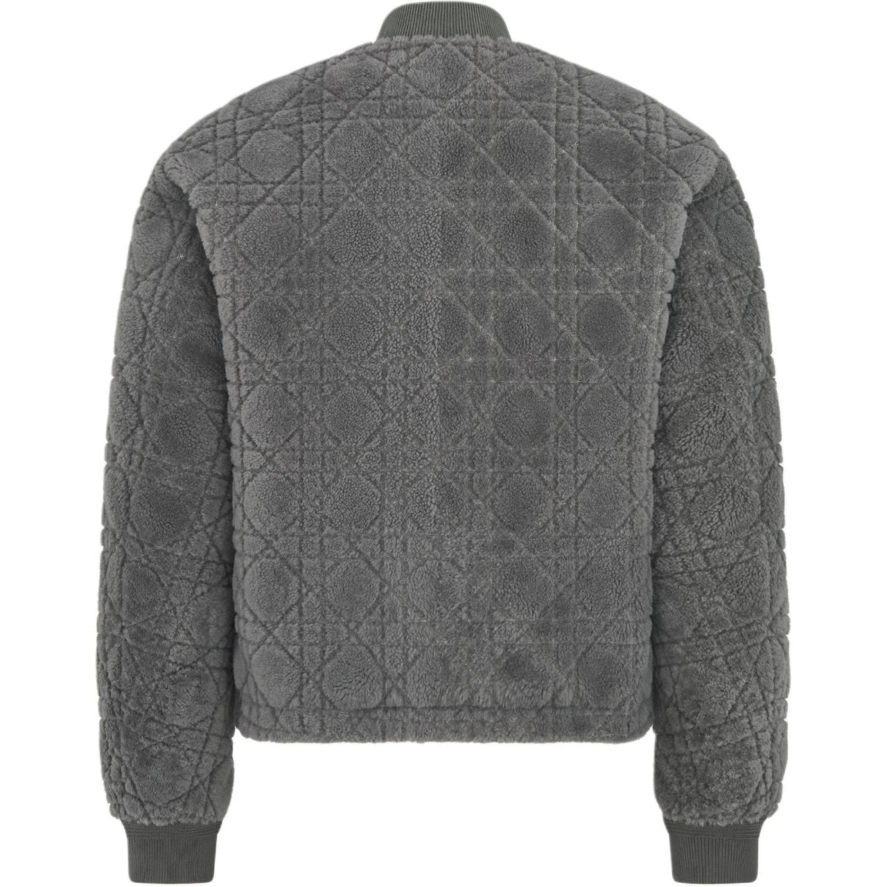 DIOR SS25 Jackets & Coats Men's Gray
