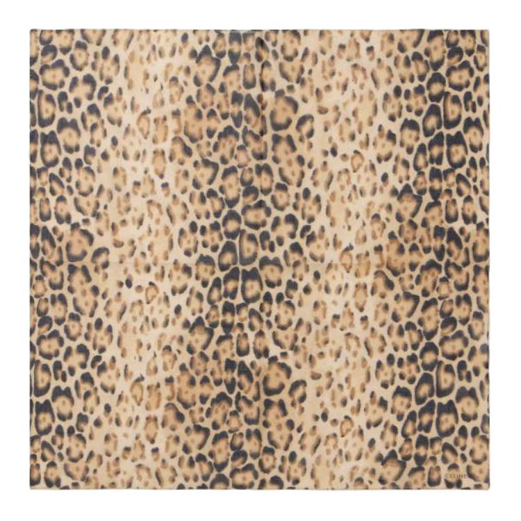 CELINE Cotton Knit Scarves Men's Brown