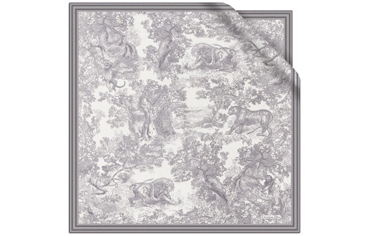 DIOR Silk Scarves Women's Gray