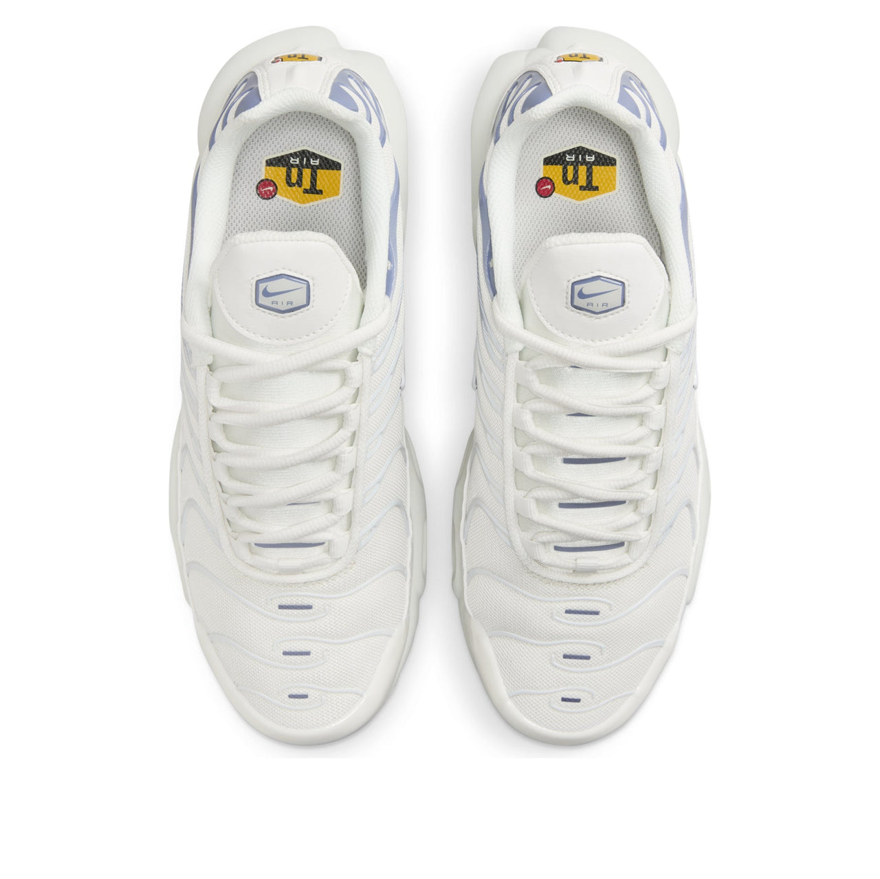 (WMNS) Nike Air Max Plus 'Ashen Slate' DZ3671-104