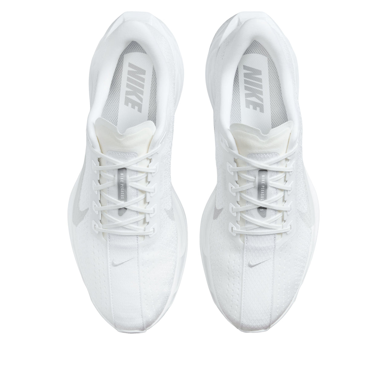 Nike Pegasus Plus 'White Wolf Grey Pure Platinum' FQ7262-102
