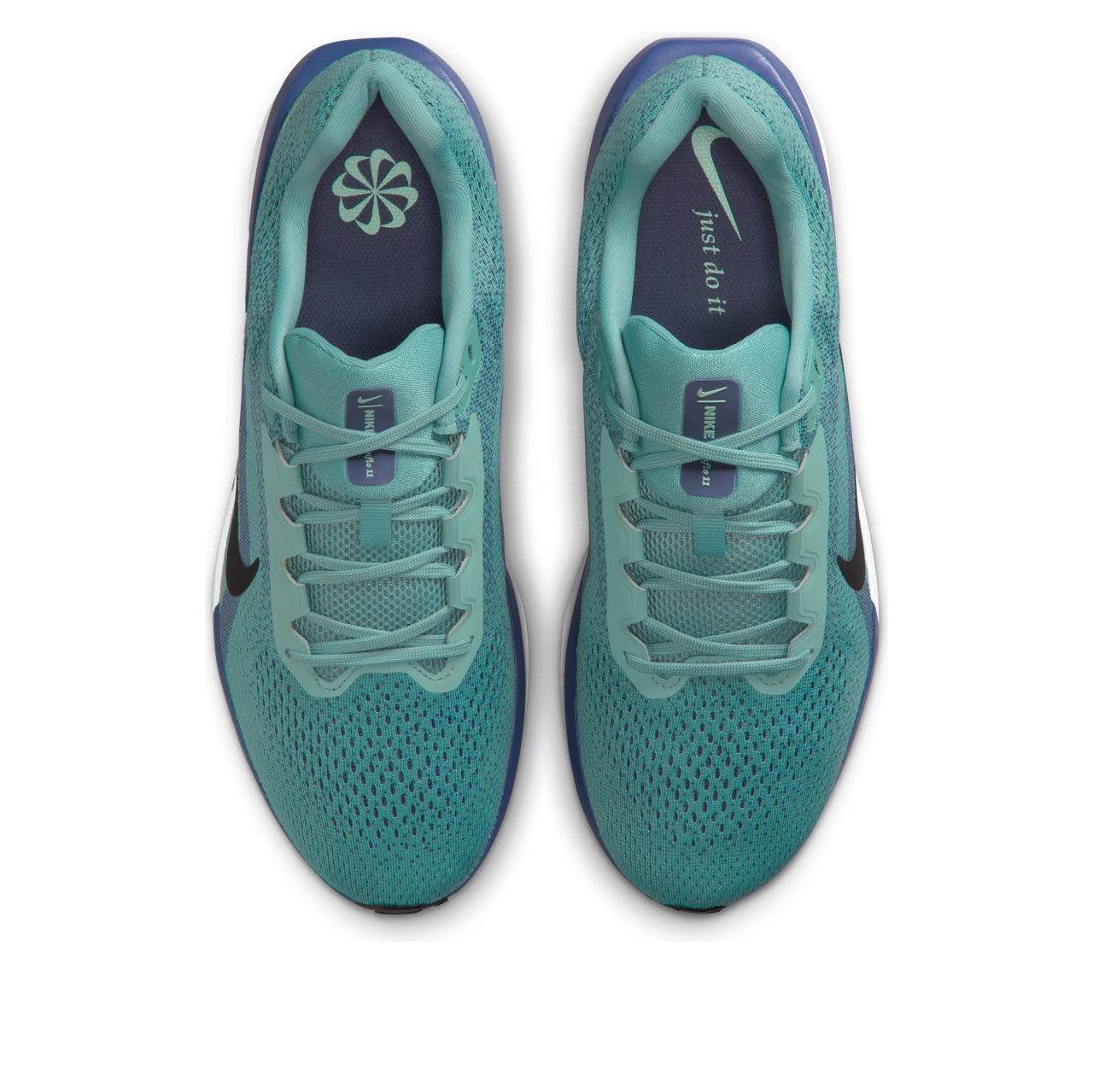 Nike Winflo 11 'Cannon Sanded Purple' FJ9509-010