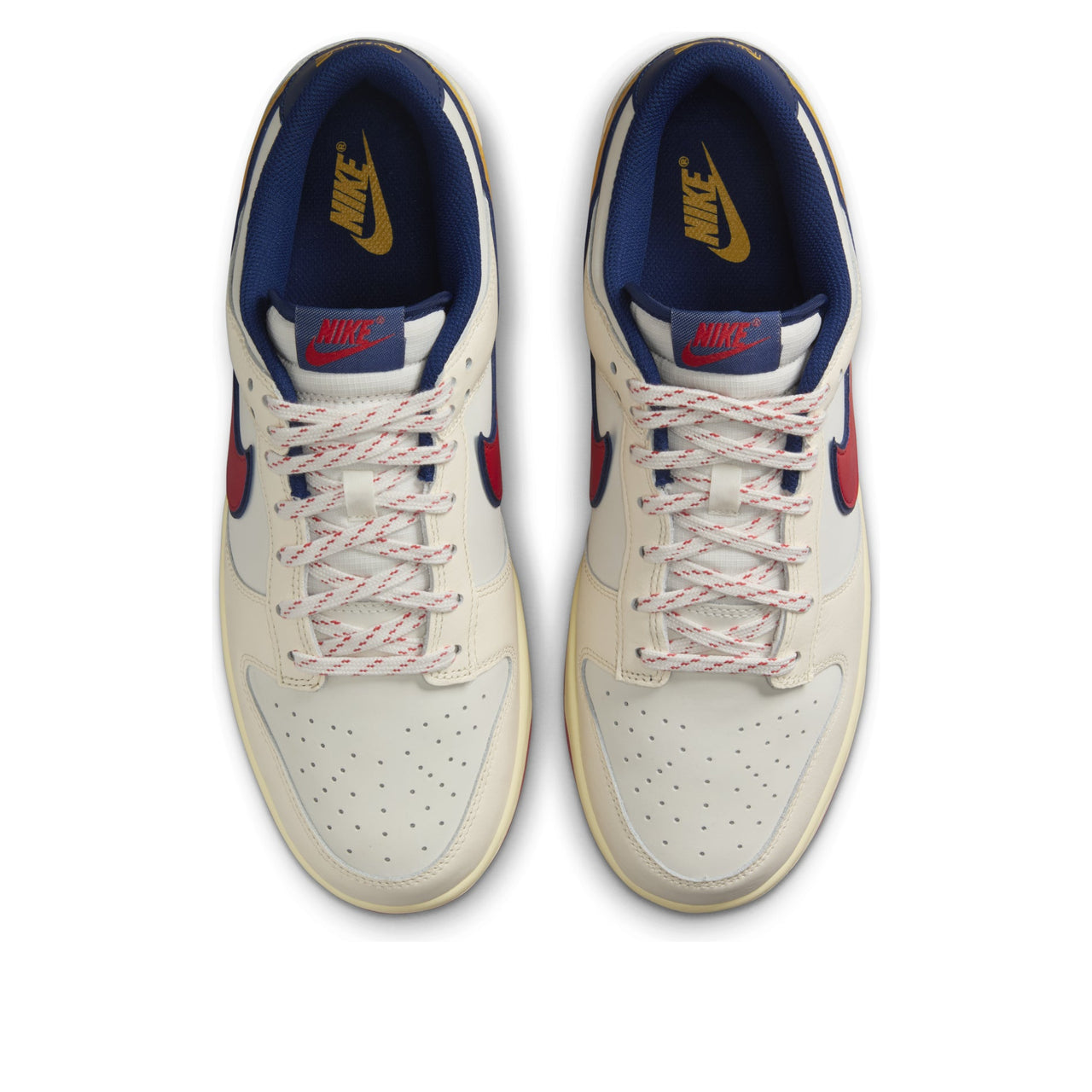 Nike Dunk Low Retro SE 'Retro Pack' HV5749-110