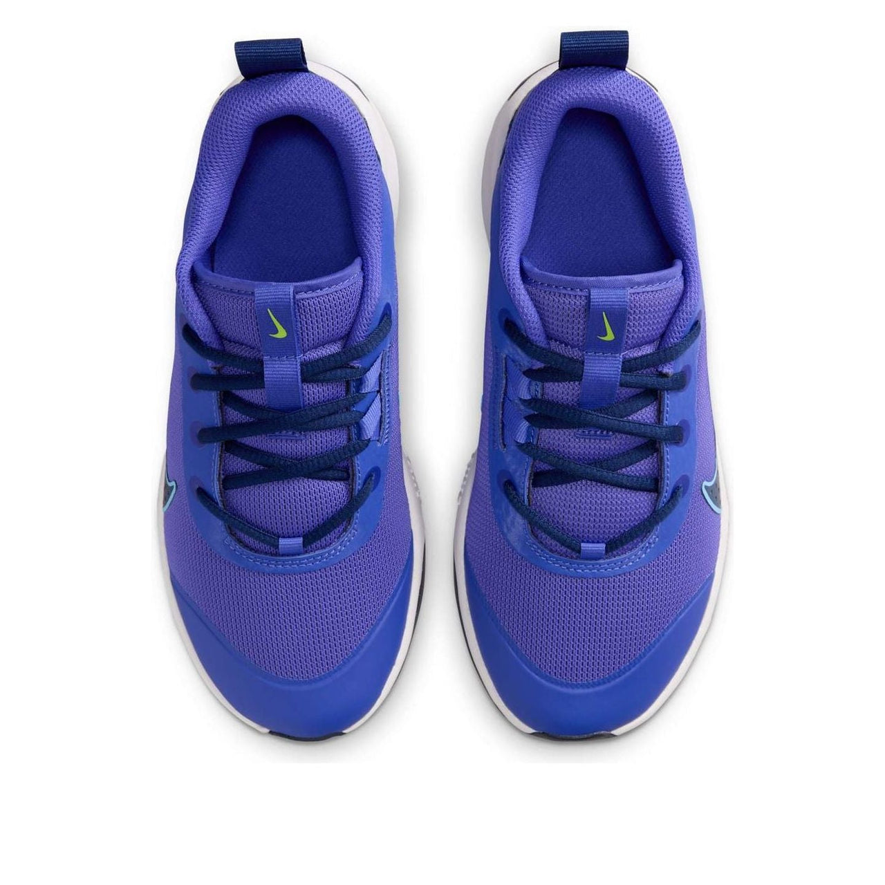 (GS) Nike Omni Multi-Court GS 'Persian Violet' DM9027-500