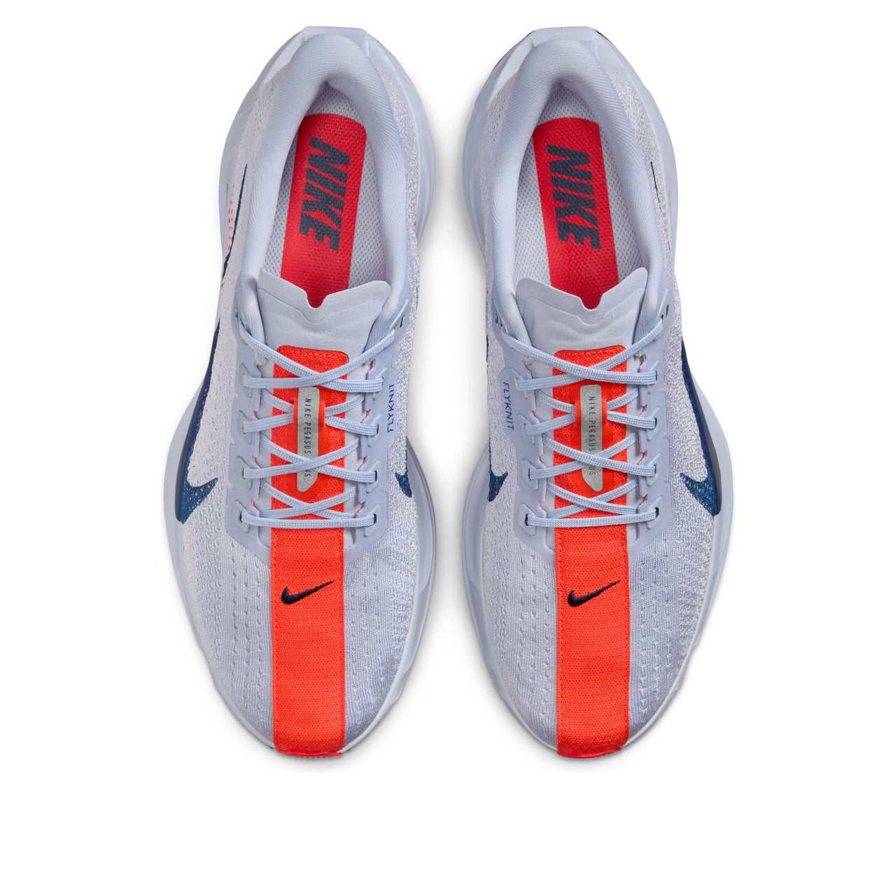 Nike Pegasus Plus 'Ghost Blue Void' FQ7262-006
