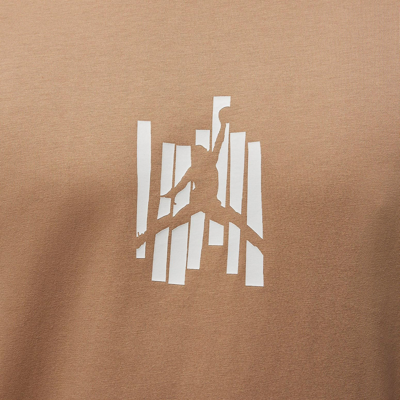 Air Jordan Brand Graphic T-Shirt 'Brown' FD7025-200