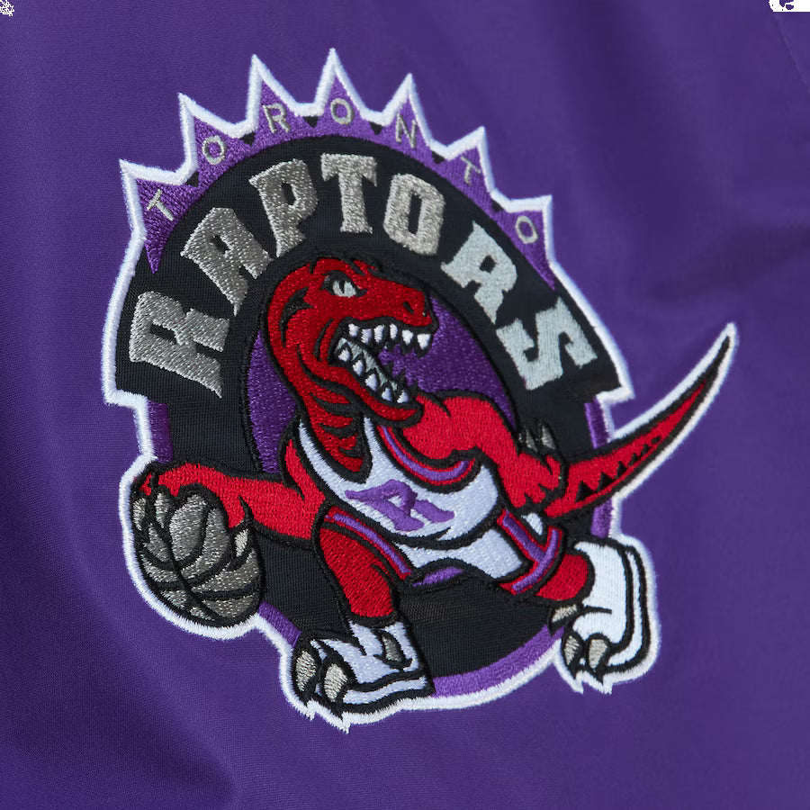 Mitchell & Ness x NBA Paintbrush Warm Up Pants 'Toronto Raptor' PWUP3415-TRAYYPPPMTWH