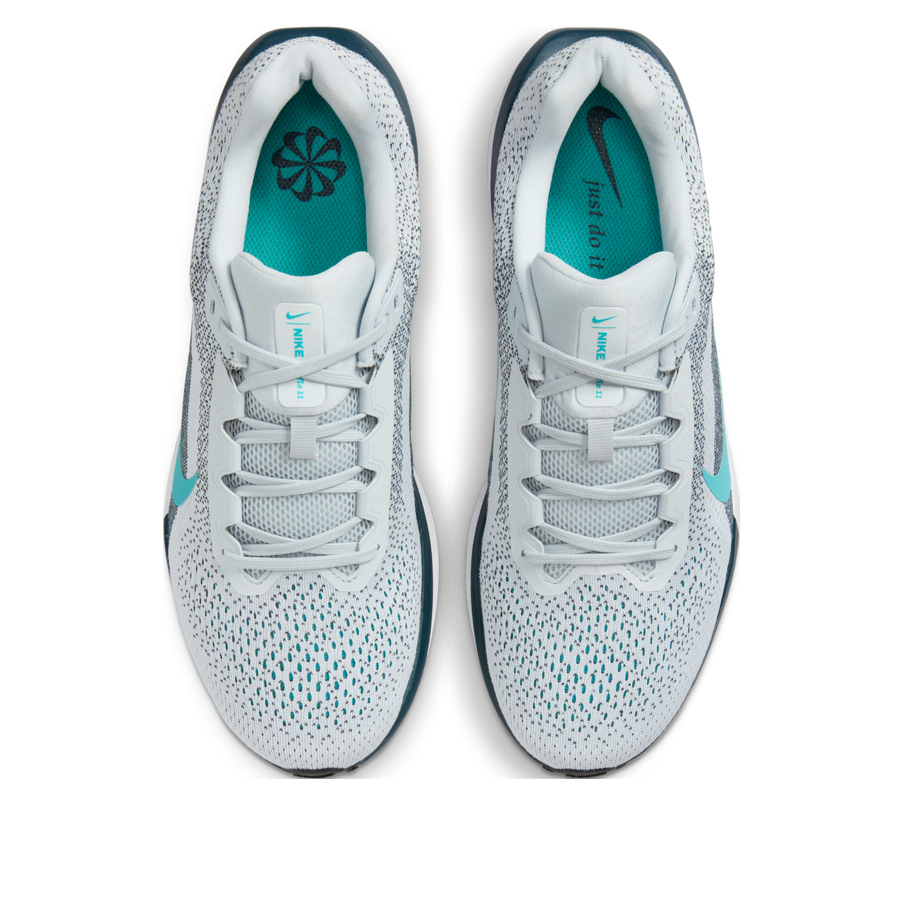 Nike Winflo 11 'Pure Platinum Dusty Cactus' FJ9509-004