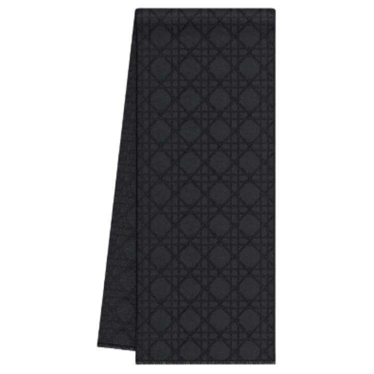 DIOR Cashmere Knit Scarves Men's Black