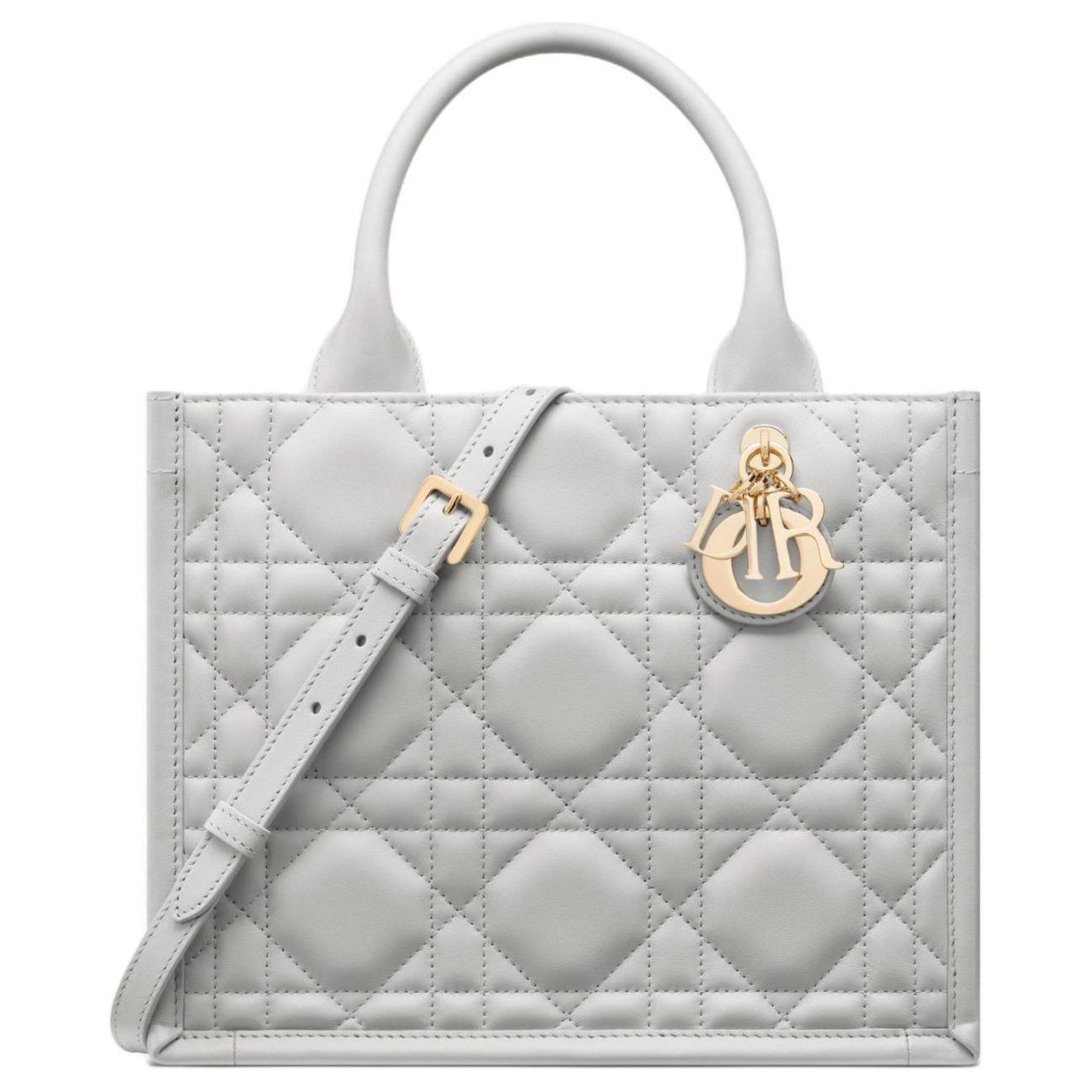 DIOR BookTote Calfskin Tote Bag Shopping Bag Shoulder Bag Crossbody Bag Handbag Small Size Women's Misty