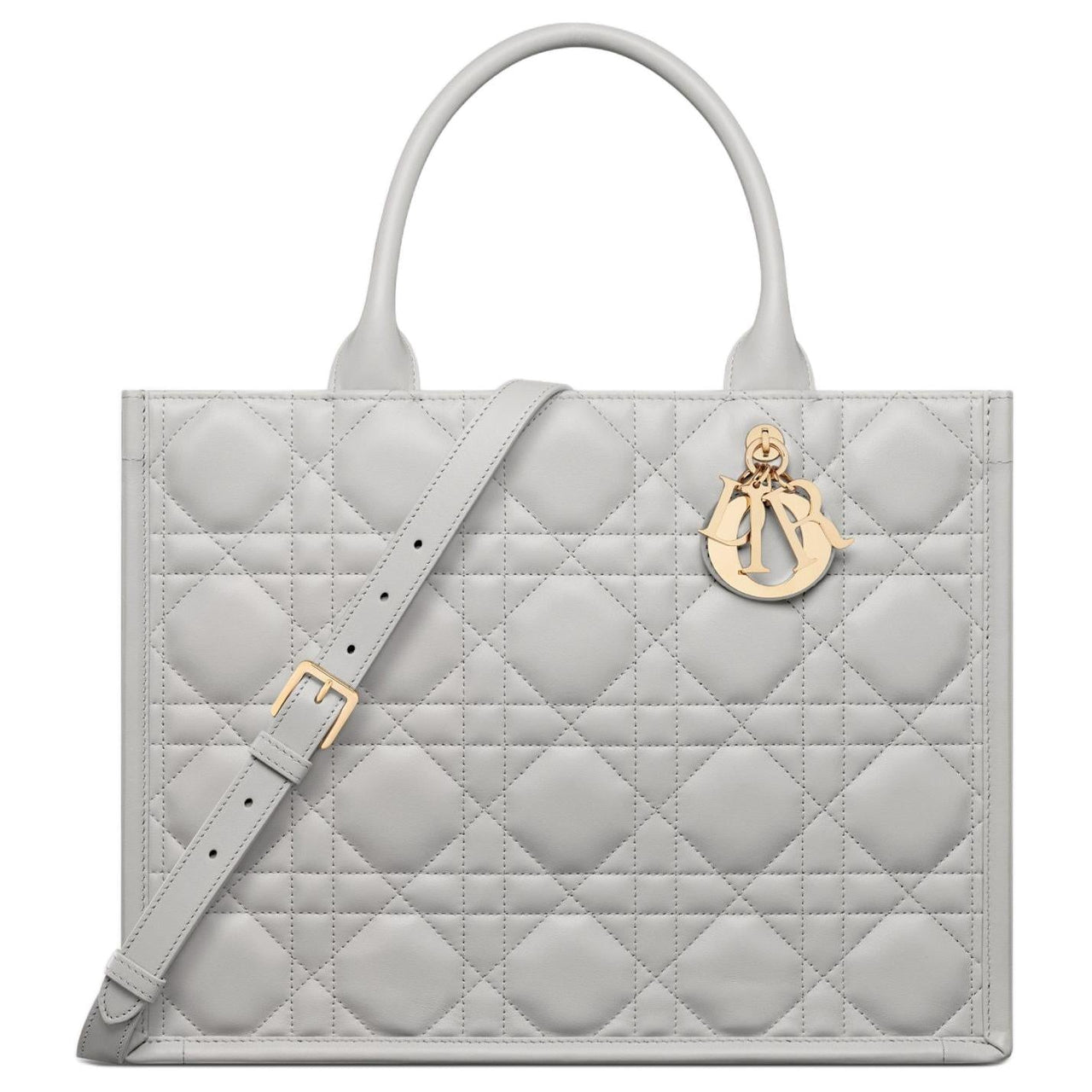 DIOR BookTote Cow Leather Tote Bag Shopping Bag Handbag Medium Size Women's Mist Gray