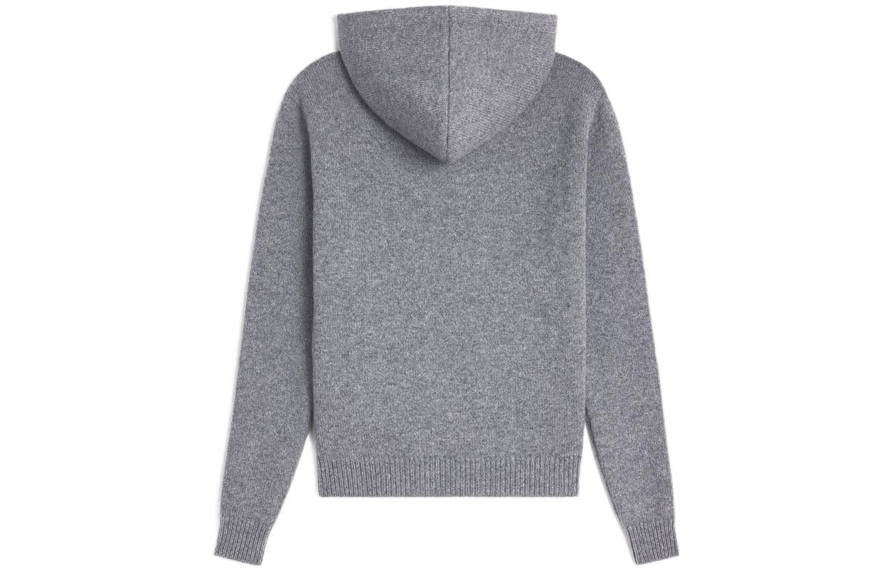 CELINE FW22 Sweatshirt Men's Gray