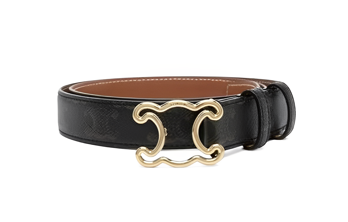 CELINE Cut-Out Logo Smooth Buckle Women's Black Width: 2.5cm