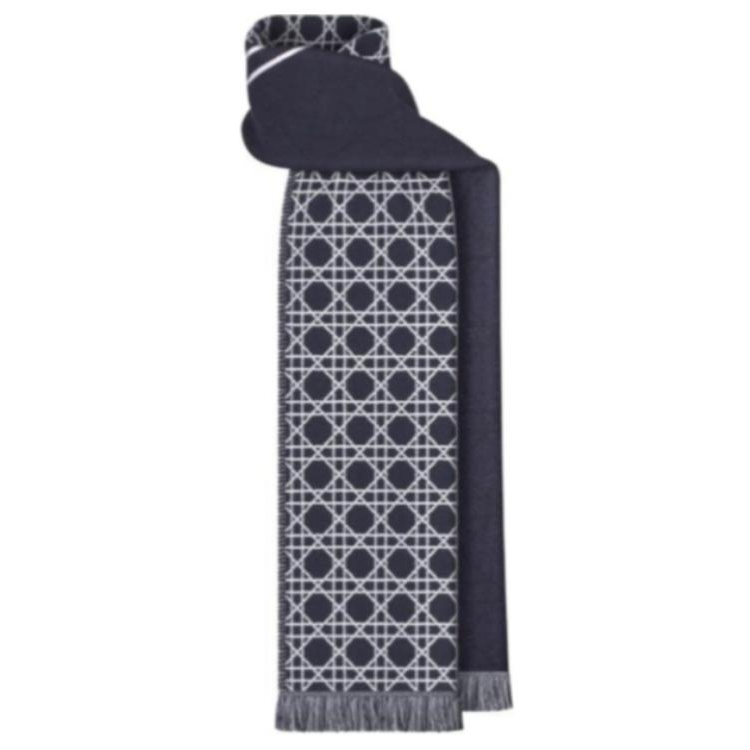 DIOR Wool Knit Scarves Men's Blue