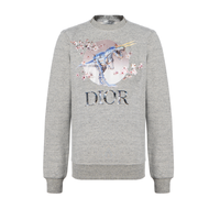 DIOR Quarterly New Products Sweatshirts Unisex Gray