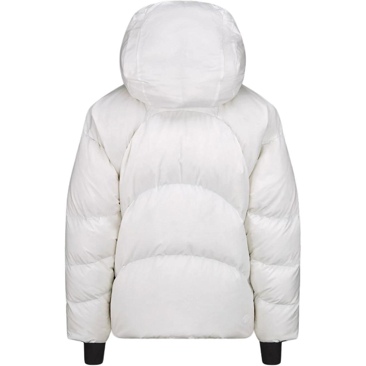 DIOR X Descente X Lewis Hamilton Quilted Down Ski Jacket