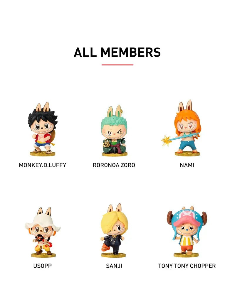Pop Mart One Piece The Monsters Labubu Sealed Case (12 Blind Boxes) PPMT-2502-0023-806438621