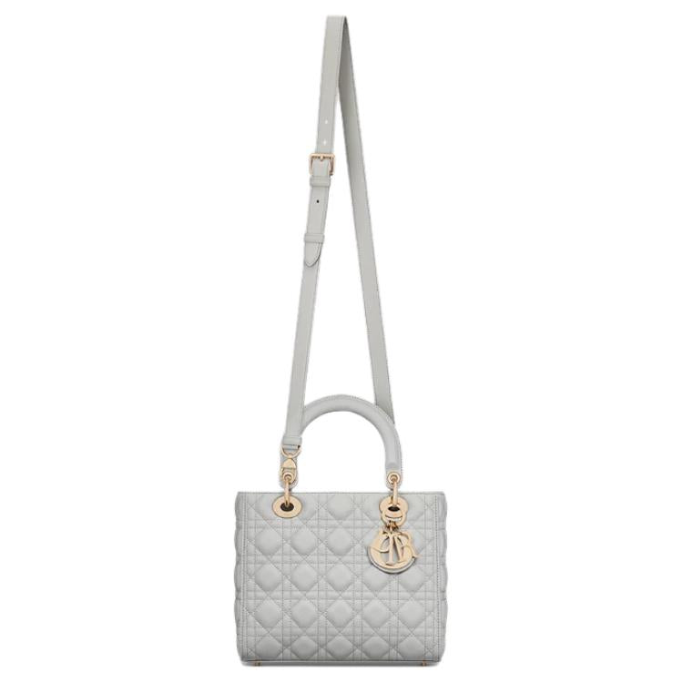 DIOR Calfskin Handbag Medium Size Women's Gray