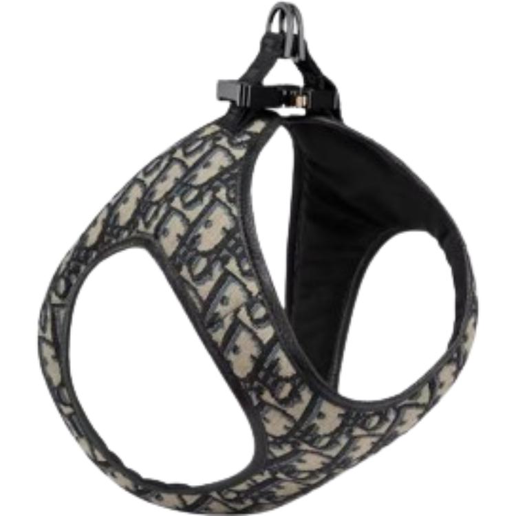 DIOR Leashes