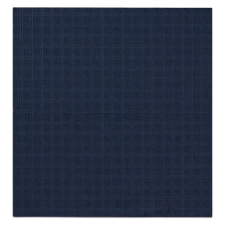 DIOR Silk Silk Scarves Men's Blue