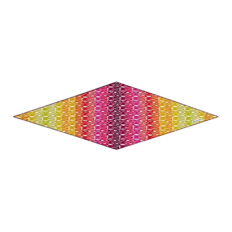 DIOR Silk Scarves Women's Multicolor