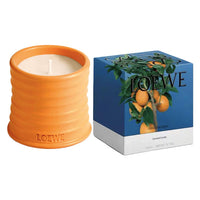 LOEWE Candles / Candlesticks