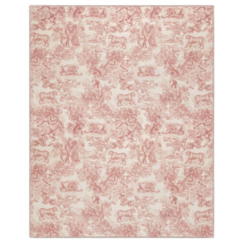 DIOR Cashmere Shawls Women's Pink