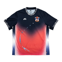Nike SB Dri-FIT ADV Short-Sleeve Jersey 'Team USA' FZ4066-451