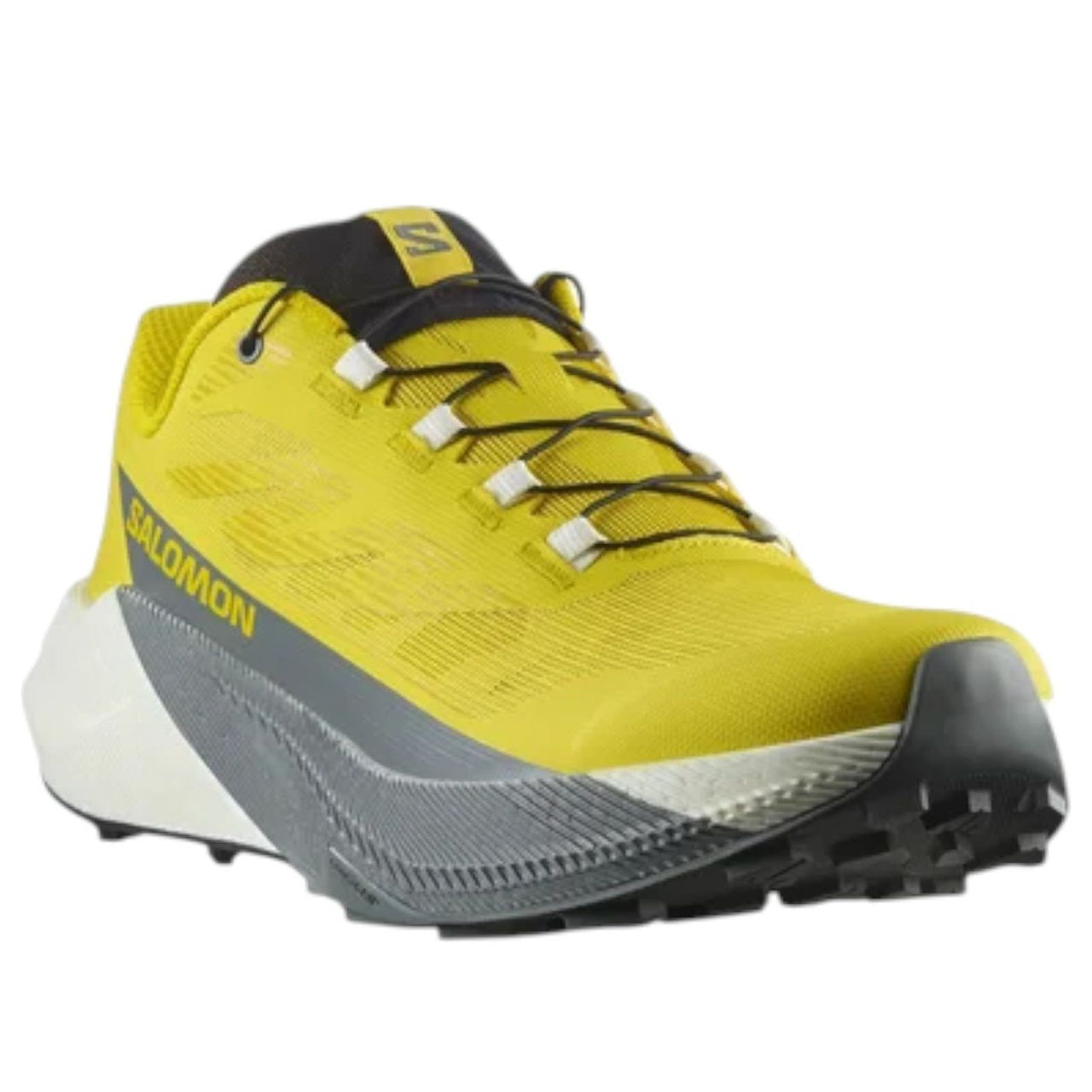SALOMON Pulsar 'Sedona Sage' 479732